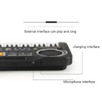 61 Keys Kids Electronic Keyboard Piano With Microphone Musical Instrument USB Digital Electric Organ Gifts Toys for children - Image 4