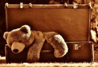 Stuffed Animals for Children