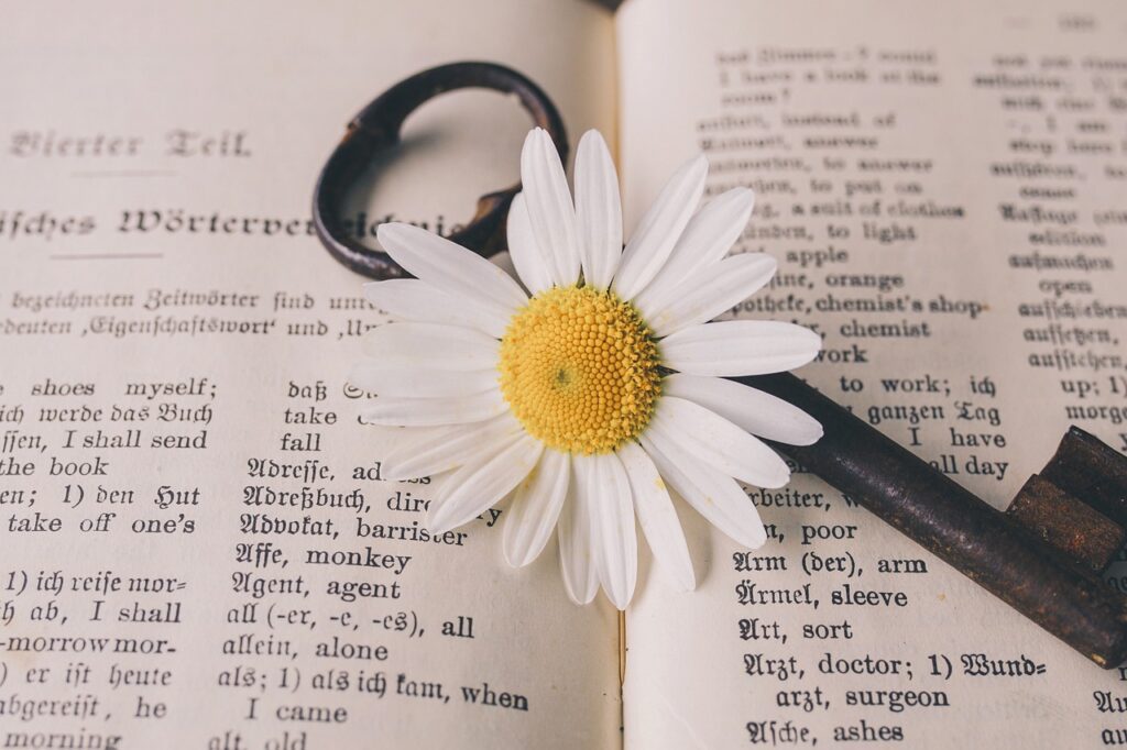 Vocabulary In Digital Marketing